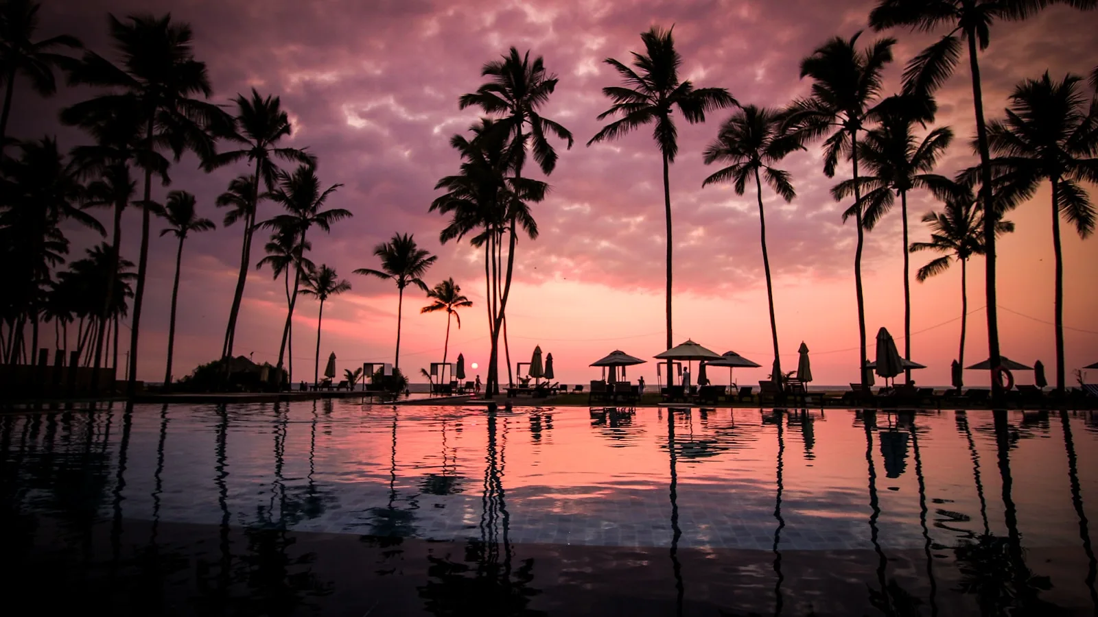 Plage de Mirissa au coucher du soleil, cocotiers et vagues de l'océan Indien, Sri Lanka