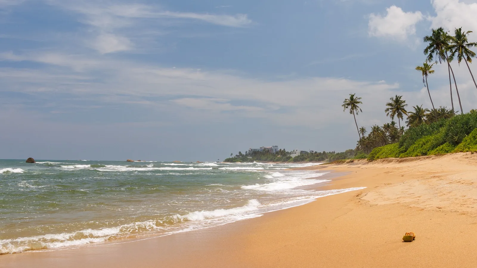 Plage sauvage de la côte est du Sri Lanka avec palmiers, sable doré et mer turquoise sous un ciel bleu