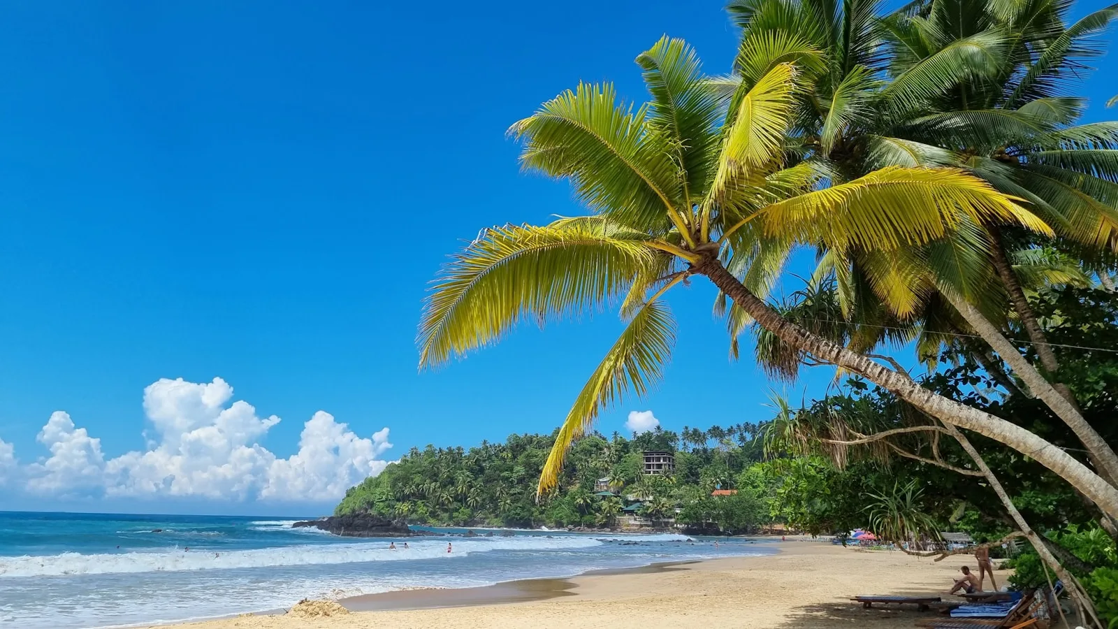 Côte tropicale avec palmiers et chaises longues à Mirissa, Sri Lanka