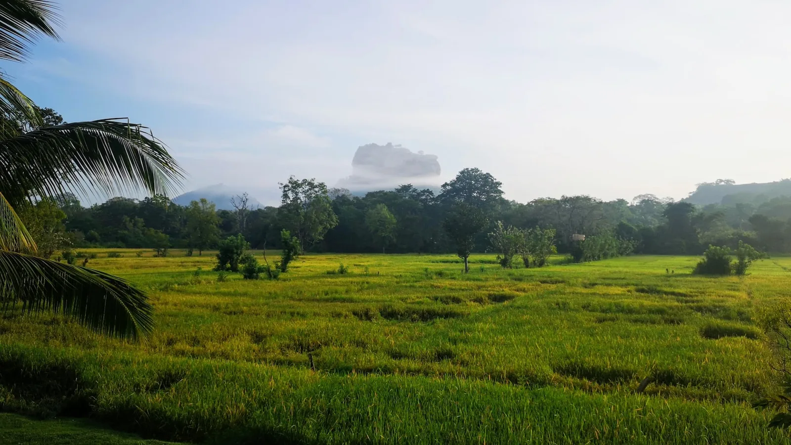 Où dormir à Sigiriya et aux alentours